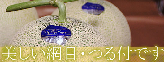 �����������u������