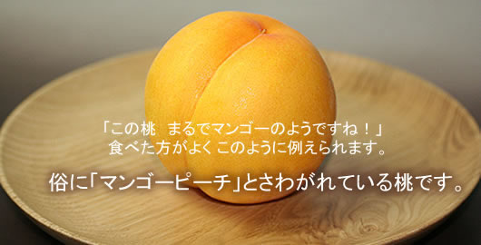 �������@���̂�����