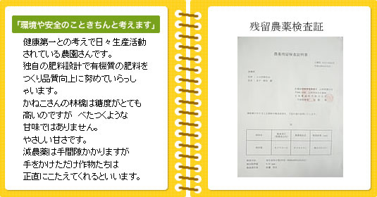 �܂߈󉮂ł͎R�`�̈��S�ɂ������Â�����嗱�������ځ@����o�C�I�͔|�������ځ@���荠�ȉ��i�̃o���l�߂�����ڂȂǑ����p���炲����p�܂ŗp�r�ɉ����Ă����������������܂� 