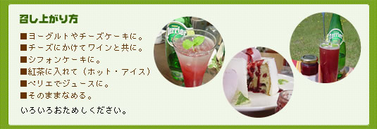 �����̃��[�O���g�\�[�X�Ƀ��Y�x���[�\�[�X�B���V�A���e�B�[�̓A�C�X�ł��z�b�g�ł������܂��B���D�݂ŖI��������Ă݂Ă��������ˁB