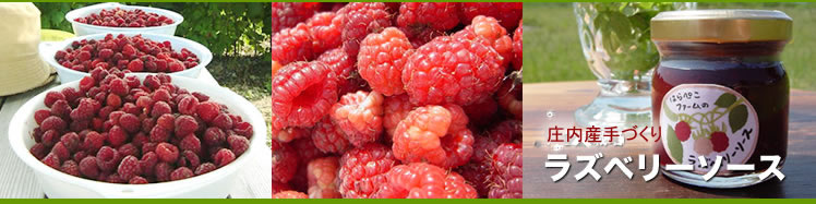 ���Y�x���[�\�[�X�@���Y���Y�x���[�@�R���t�B�`���[���@����W����