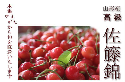 �������ڍ����юR�`�̍�����������