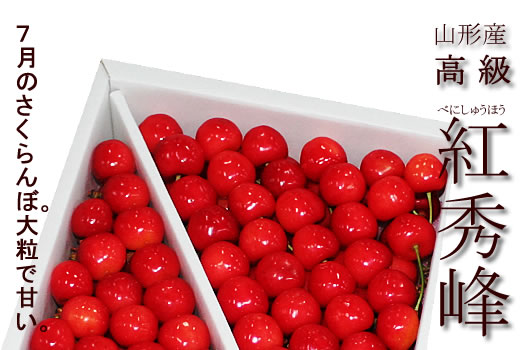 �g�G�􂳂����ڍ����юR�`�̍�����������