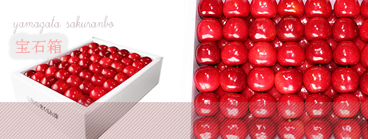 �������ڂ̕�Δ��I