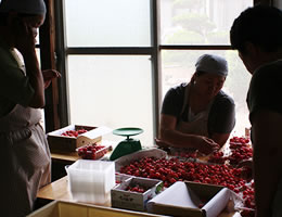 �������ڍ����юR�`�Y�n����