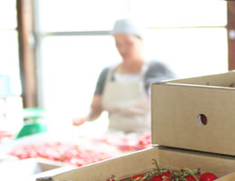 �������ڍ����юR�`�Y�n����