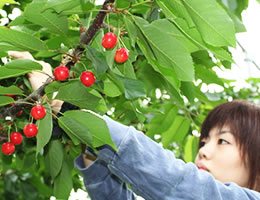 �������ڍ����юR�`�Y�n����