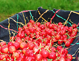 �������ڍ����юR�`�Y�n����