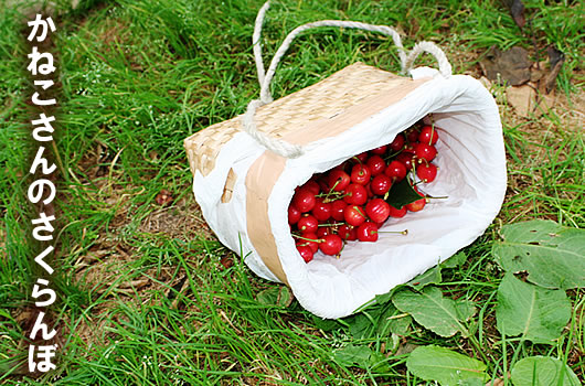 �������ڍ����юR�`�Y�n����