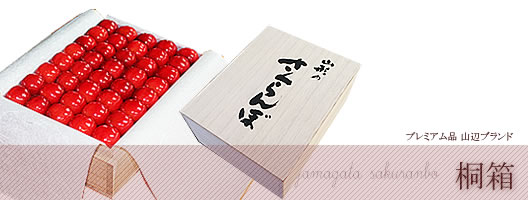 �����������ڂ�_�ƒ���