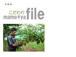 �������ڍ����юR�`�̍�����������