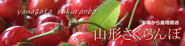 �������ځ@�����с@�R�`���Y