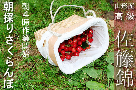 �������ڍ����юR�`�Y�n����