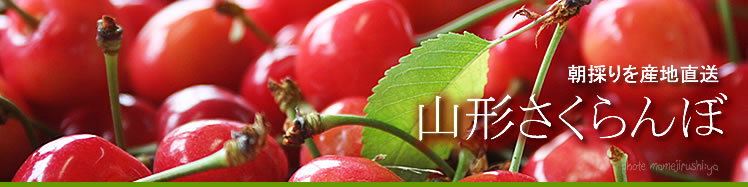 �������ځ@�����с@�R�`���Y