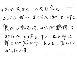 �������ڍ����юR�`�Y�n����