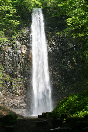 �ʗ��̑�V�΂̂��돯���n���c�A���̂���