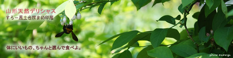 �A�h�I�t�B�X�u���[�h�r�[���Y