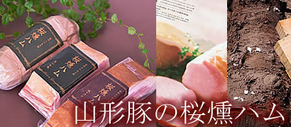 �����n��