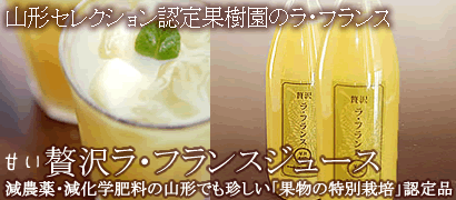 ���t�����X�W���[�X