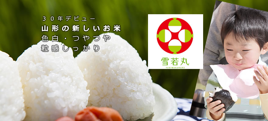 �Đ��ێR�`�̃u�����h��