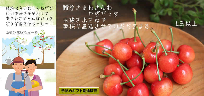 �������ڍ�����"