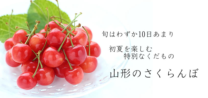 �������ڍ�����"