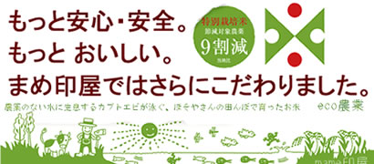 �R�`�̕� ���ʍ͔|��