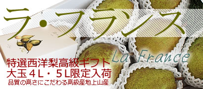 ���E�t�����X