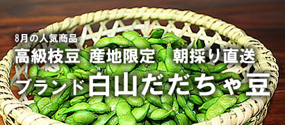 �������ᓤ