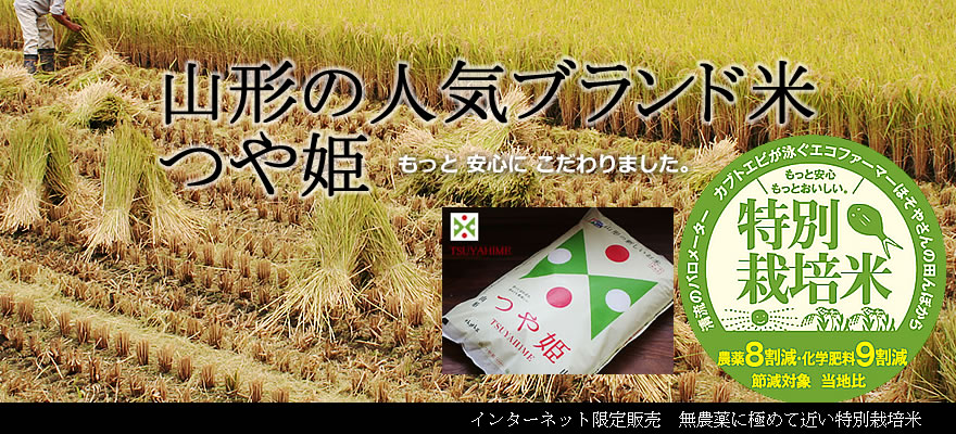 ��P�c�A��