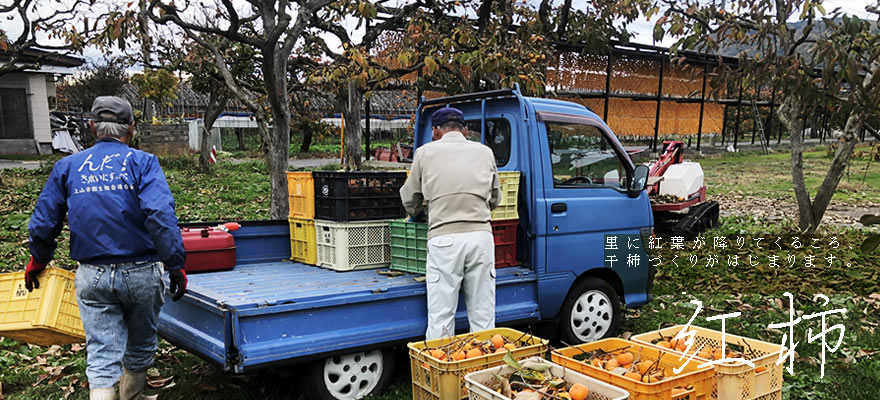 �g�����`