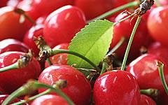 �R�`�������� ���{��6�����{�`�V�����{