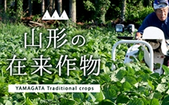 �ݗ���؂ɂ���