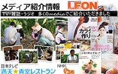 �e���r�G�����f�B�A�Љ�