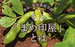 �܂߈󉮂̃R���Z�v�g