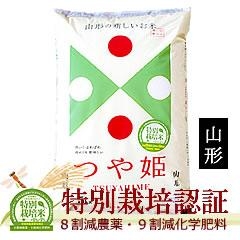 ��P�@�_�򉻊w�엿�팸