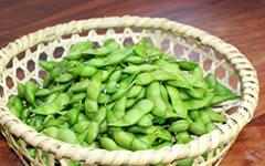 �������ᓤ