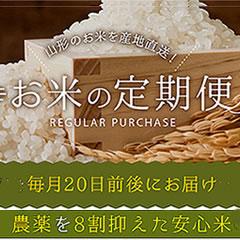 new����ւ�P�����R�[�X�y���ʍ͔|�_�Y���F�؁z8�����_��9�������w�엿